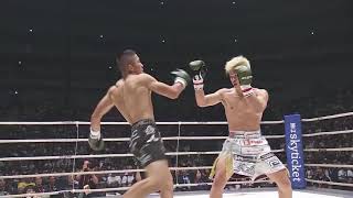 Tenshin Nasukawa  Handling A Karate Style [upl. by Llevram]