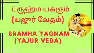 Bramha Yagnam  Yajur Veda Aapastamba Bramha Yagnam  யஜுர்வேத ஆபஸ்தம்ப ப்ருஹ்ம யக்ஞம் [upl. by Ynaffad]