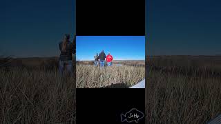 Redfish fishing in Cedar Key [upl. by Amerigo]