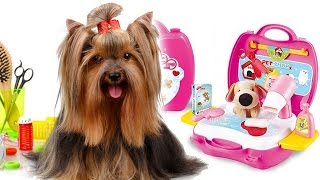 IL PARRUCCHIERE DEI CUCCIOLI PLAYSET CON PELUCHE gioco per bambini e bambine Fammi Bello [upl. by Ellinej]