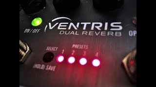 Source Audio Ventris Reverb  Great Presets [upl. by Asille]