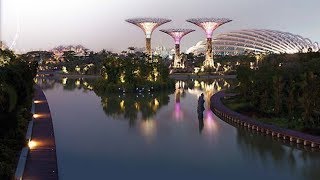 Singapore Gardens by the Bay [upl. by Laing]