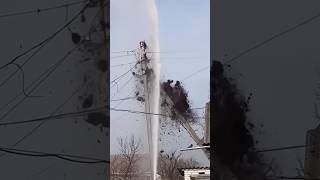 Birds Nest Destroyed By Fire Fighters TrendingShorts TrendingVideos ViralVideos [upl. by Asiulana]