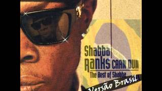 Shabba Ranks  House Call instrumental 2012 [upl. by Htebharas]