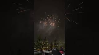 Fireworks at Calgary Gurupurab [upl. by Arehahs]