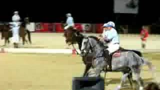 EspanhaArgentina  Horseball World Cup  Ponte de Lima08 [upl. by Dot619]