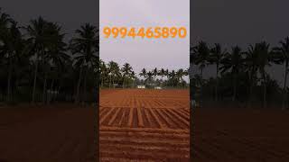 759 Udumalpet East 7KM 4 Acres Agriculture Land amp 50 Coconut Tree 400 Ft Cut Road Based [upl. by Orren]