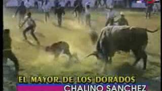 33 MUERTES DEL JARIPEO CANCION 27EL MAYOR DE LOS DORADOS [upl. by Suidualc388]