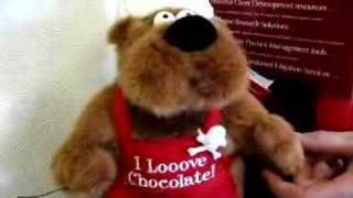 quotI Love Chocolatequot Teddy Bear [upl. by Neysa]