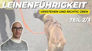 Leinenführigkeit beim Hund Teil 2 [upl. by Mert]