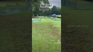 What is FAST CAT [upl. by Lody501]