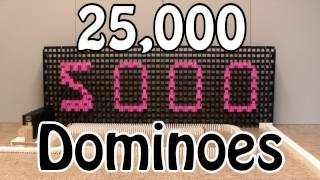 Over 25000 Dominoes  5000 Subscribers Special [upl. by Eneleahs]