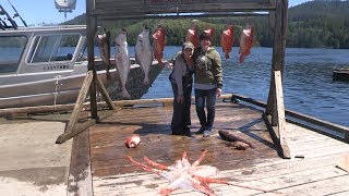 Halibut Rockfish amp Lingcod Fishing Winter Harbour BC 2017 [upl. by Daloris106]