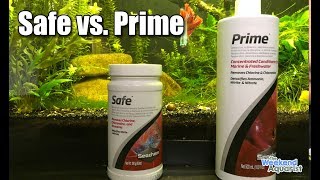 Prime vs Safe [upl. by Eelyrag]