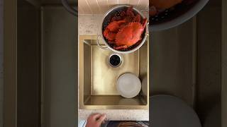 How to cook a Mud Crab  Step by Step Guide [upl. by Tombaugh]