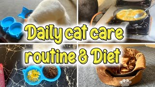 My Cats Daily Routine amp Diet  A DAY IN THE LIFE WITH MY CATS  The Casper Home Channel [upl. by Kazimir]