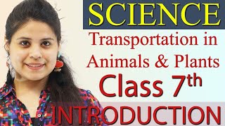 Introduction  Chapter 7  Transportation in Animals and Plants  Science Class 7th NCERT [upl. by Irihs]