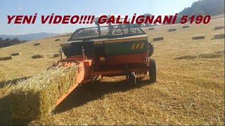 GALLİGNANİ 5190 YULAF BAĞLIYORUZ MASSEY FERGUSON 277 GOLD BALE MACHINE BALE MAKING [upl. by Reprah985]