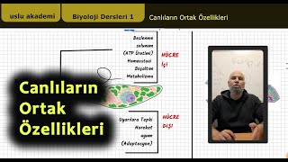 Canlıların Ortak Özellikleri tytbiyoloji biyoloji canlılar [upl. by Kohcztiy]