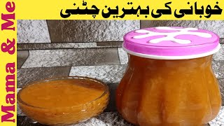 Khobani ki chatni  khobani ki chatni recipe  khobani ki chatni bnany ka asan tareeq by Mama amp Me [upl. by Cuthbert]