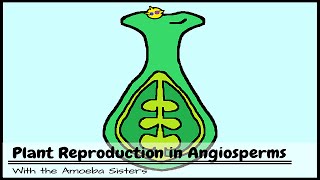 Plant Reproduction in Angiosperms [upl. by Baer673]