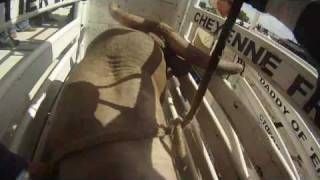 Bull Riders Point Of View [upl. by Droc]