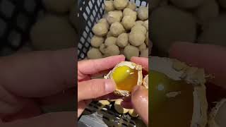 Fake Egg In Chains Factory Reveal😱🤮shorts [upl. by Noyes18]