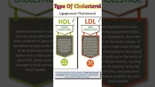 Hdl  Ldl  Cholesterol Lipoproteins  Good Cholesterol  Bad Cholesterol  Ldl Vs Hdl shorts [upl. by Iran66]