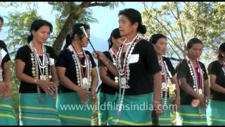 Adi tribe of Arunachal performing Ponung dance [upl. by Yonina]