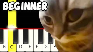 Chipi Chipi Chapa Chapa Dubi Dubi Daba Daba Meme  Fast and Slow Easy Piano Tutorial  Beginner [upl. by Aicenev]