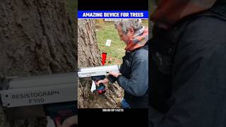 How This Device Check Health Of The Trees😱 [upl. by Ecnarolf]