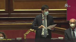 Senato la diretta video del ministro Speranza [upl. by Pliske389]