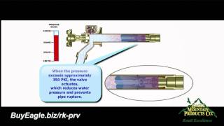 How Does A Woodford Pressure Relief Valve Work [upl. by Conway52]