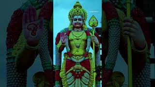 Arupadai veedu konda muruganukku Arogara murugar stusts song tamilkadavulmurugan [upl. by Eterg489]