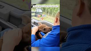 This man saved a moose from a bear attack shorts [upl. by Mayworm]