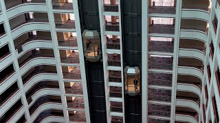 Scenic Fujitec Traction Elevators at the RiverCenter Marriott  Covington KY [upl. by Nat495]