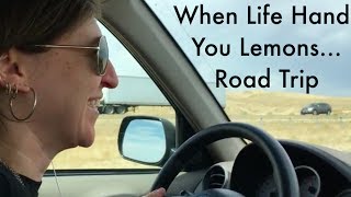 When Life Hands You LemonsRoad Trip  Mayim Bialik [upl. by Mines]