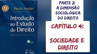 4 SOCIEDADE E DIREITO Introdução ao Estudo do Direito  Paulo Nader  2021 [upl. by Oleta]