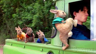 Peter Rabbits best funny scenes 🌀 4K [upl. by Yung640]