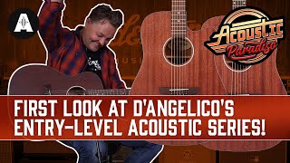 DAngelico Premier Acoustics  A Lot of Guitar for NOT a Lot of Money [upl. by Ashlie873]