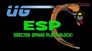 The ESP erector spinae plane Block  Our Current Understanding [upl. by Teena]