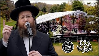 The Freilach Band Chuppah Series ft Shloime Daskal amp Shira Choir  Ani Ldodi  Katonti  Ki Karov [upl. by Harvard]