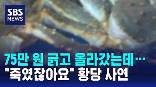 대게집서 벌어진 황당한 일…75만 원 미리 결제했더니  SBS  오클릭 [upl. by Occor]