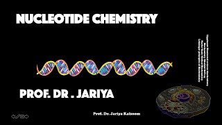 NUCLEOTIDE CHEMISTRY [upl. by Bourgeois]