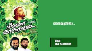 Anayunnitha  Sung by Biju Narayanan  Neeyenne Maranno Nadha  HD Song [upl. by Nnylyram565]