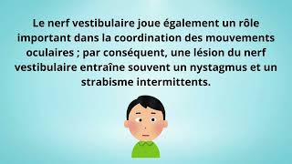 Localisation des lésions cérébrales à travers lévaluation des nerfs crânienschien [upl. by Isadora]