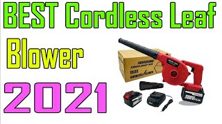 TOP 5 Best Cordless Leaf Blower Review 2021 [upl. by Nivra]