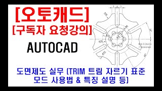 구독자 요청강의  오토캐드 실무 도면제도 TRIM 트림 자르기 표준 모드 사용법 amp 특징 설명 등 [upl. by Inneg]