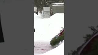 Putin lays flowers at Leningrad siege memorial in honor of the WWII victims Russia [upl. by Neelat613]