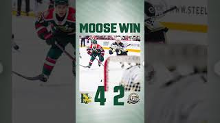 Halifax Mooseheads win hockey qmjhl mooseheads shorts [upl. by Culberson530]